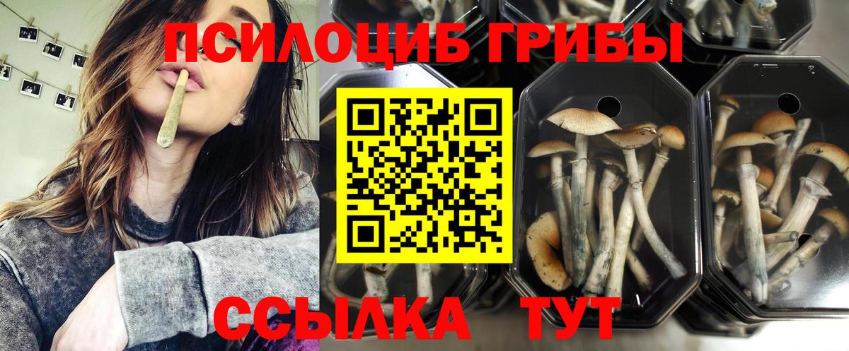Галлюциногенные грибы MAGIC MUSHROOMS Нурлат