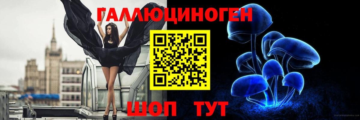 Нурлат  Псилоцибиновые грибы прущие грибы  Вход с VPN 